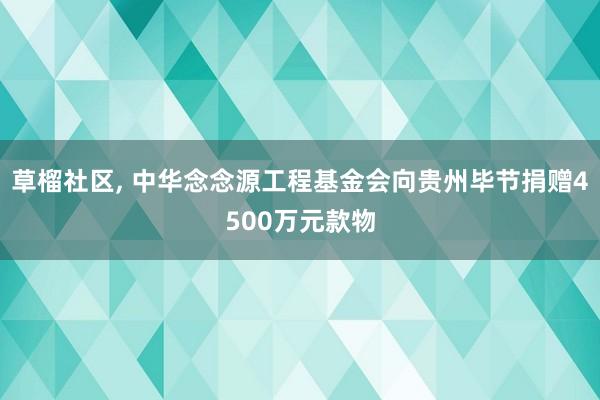 草榴社区, 中华念念源工程基金会向贵州毕节捐赠4500万元款物