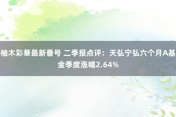 柚木彩華最新番号 二季报点评：天弘宁弘六个月A基金季度涨幅2.64%