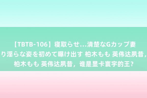 【TBTB-106】寝取らせ…清楚なGカップ妻が背徳感の快楽を知り淫らな姿を初めて曝け出す 柏木もも 英伟达夙昔，谁是显卡寰宇的王？