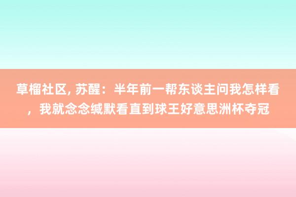 草榴社区, 苏醒：半年前一帮东谈主问我怎样看，我就念念缄默看直到球王好意思洲杯夺冠