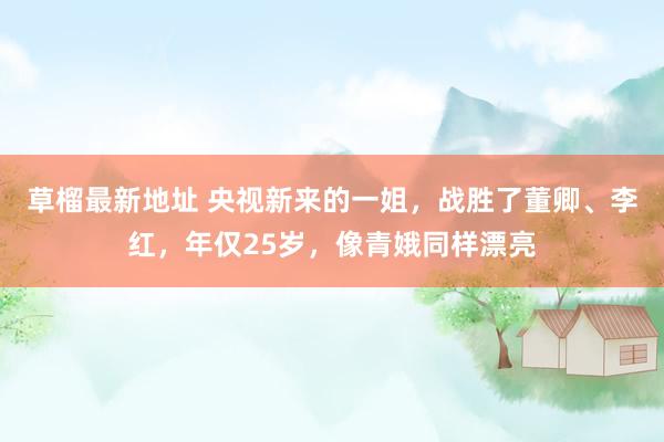 草榴最新地址 央视新来的一姐，战胜了董卿、李红，年仅25岁，像青娥同样漂亮