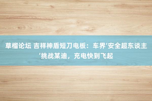 草榴论坛 吉祥神盾短刀电板：车界‘安全超东谈主’挑战某迪，充电快到飞起