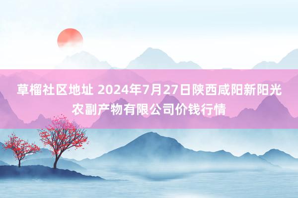 草榴社区地址 2024年7月27日陕西咸阳新阳光农副产物有限公司价钱行情