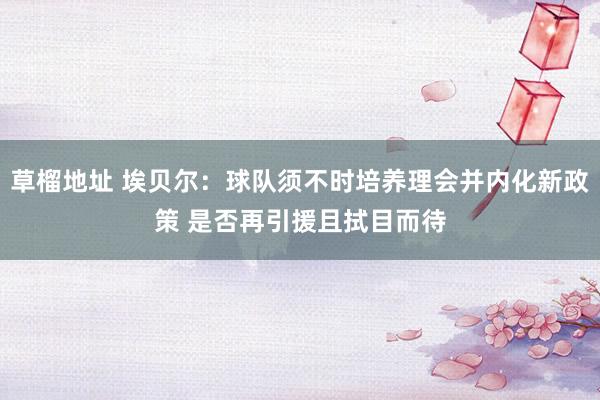 草榴地址 埃贝尔：球队须不时培养理会并内化新政策 是否再引援且拭目而待