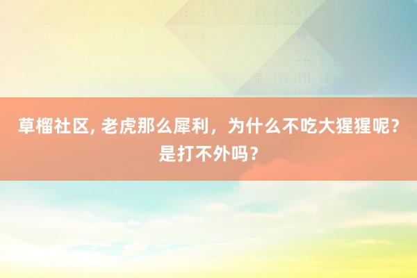 草榴社区, 老虎那么犀利，为什么不吃大猩猩呢？是打不外吗？