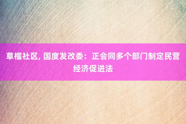 草榴社区, 国度发改委：正会同多个部门制定民营经济促进法