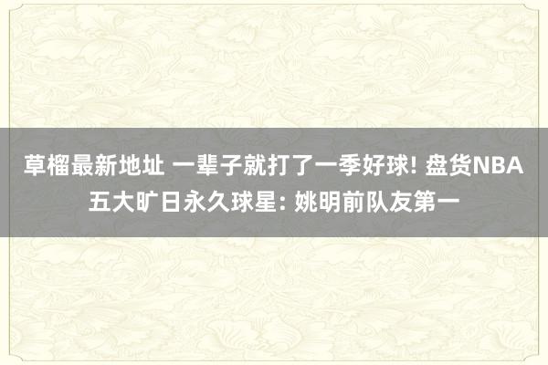 草榴最新地址 一辈子就打了一季好球! 盘货NBA五大旷日永久球星: 姚明前队友第一