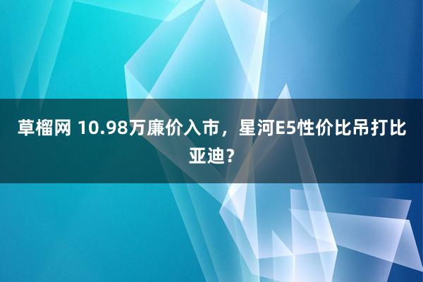 草榴网 10.98万廉价入市，星河E5性价比吊打比亚迪？