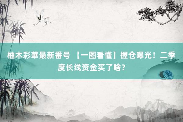 柚木彩華最新番号 【一图看懂】握仓曝光！二季度长线资金买了啥？