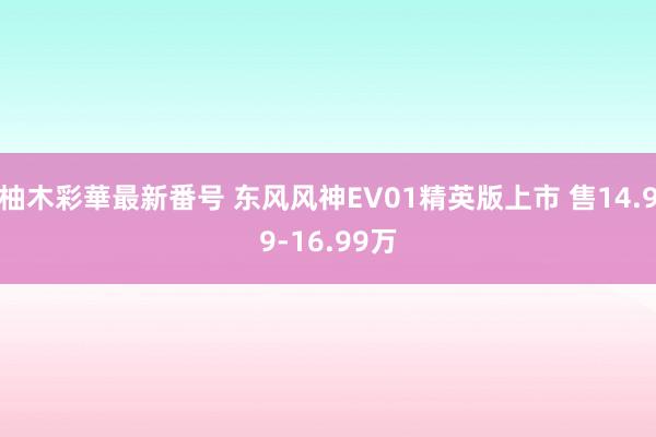 柚木彩華最新番号 东风风神EV01精英版上市 售14.99-16.99万