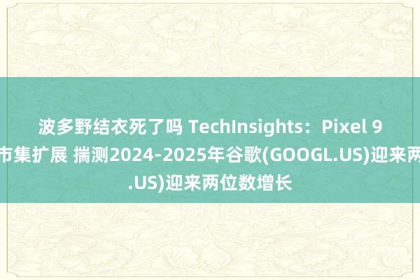 波多野结衣死了吗 TechInsights：Pixel 9系列竖立市集扩展 揣测2024-2025年谷歌(GOOGL.US)迎来两位数增长