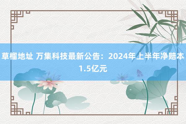 草榴地址 万集科技最新公告：2024年上半年净赔本1.5亿元