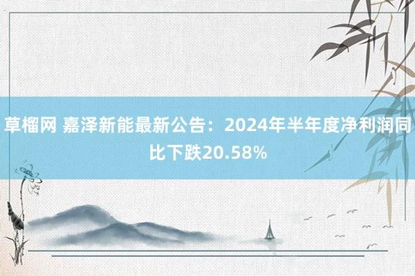 草榴网 嘉泽新能最新公告：2024年半年度净利润同比下跌20.58%