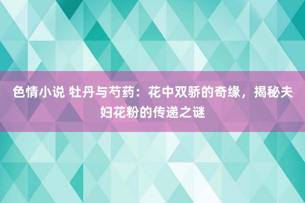 色情小说 牡丹与芍药：花中双骄的奇缘，揭秘夫妇花粉的传递之谜