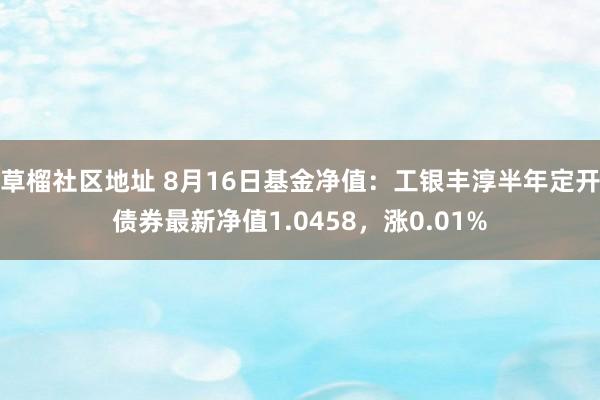 草榴社区地址 8月16日基金净值：工银丰淳半年定开债券最新净值1.0458，涨0.01%