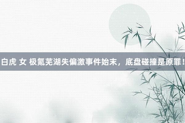 白虎 女 极氪芜湖失偏激事件始末，底盘碰撞是原罪！