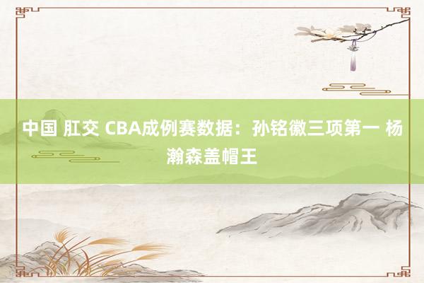 中国 肛交 CBA成例赛数据：孙铭徽三项第一 杨瀚森盖帽王