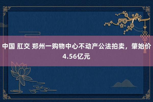 中国 肛交 郑州一购物中心不动产公法拍卖，肇始价4.56亿元