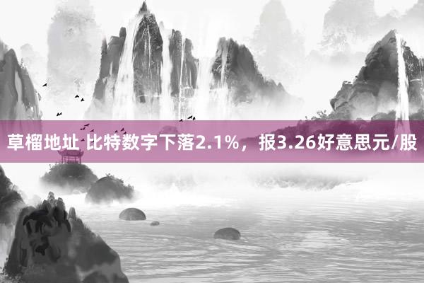 草榴地址 比特数字下落2.1%，报3.26好意思元/股