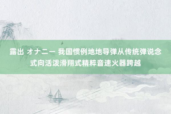 露出 オナニー 我国惯例地地导弹从传统弹说念式向活泼滑翔式精粹音速火器跨越