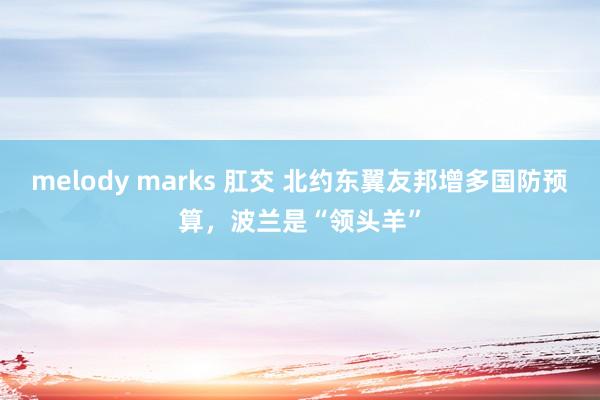 melody marks 肛交 北约东翼友邦增多国防预算，波兰是“领头羊”