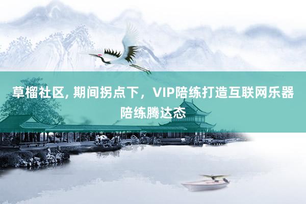 草榴社区， 期间拐点下，VIP陪练打造互联网乐器陪练腾达态