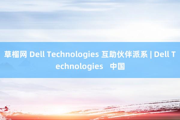 草榴网 Dell Technologies 互助伙伴派系 | Dell Technologies   中国